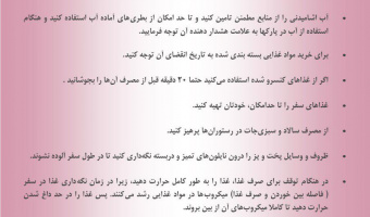 بهداشت مواد غذایی در سفر